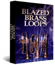 Blazed Brass Loops